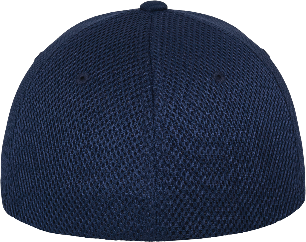 Back View