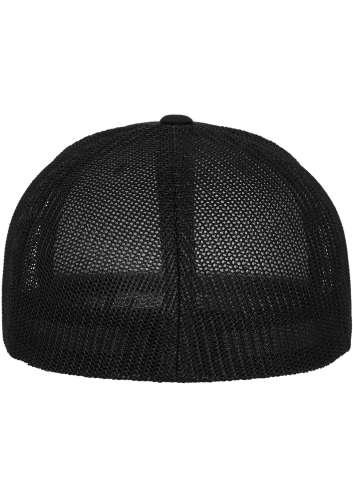 Back View