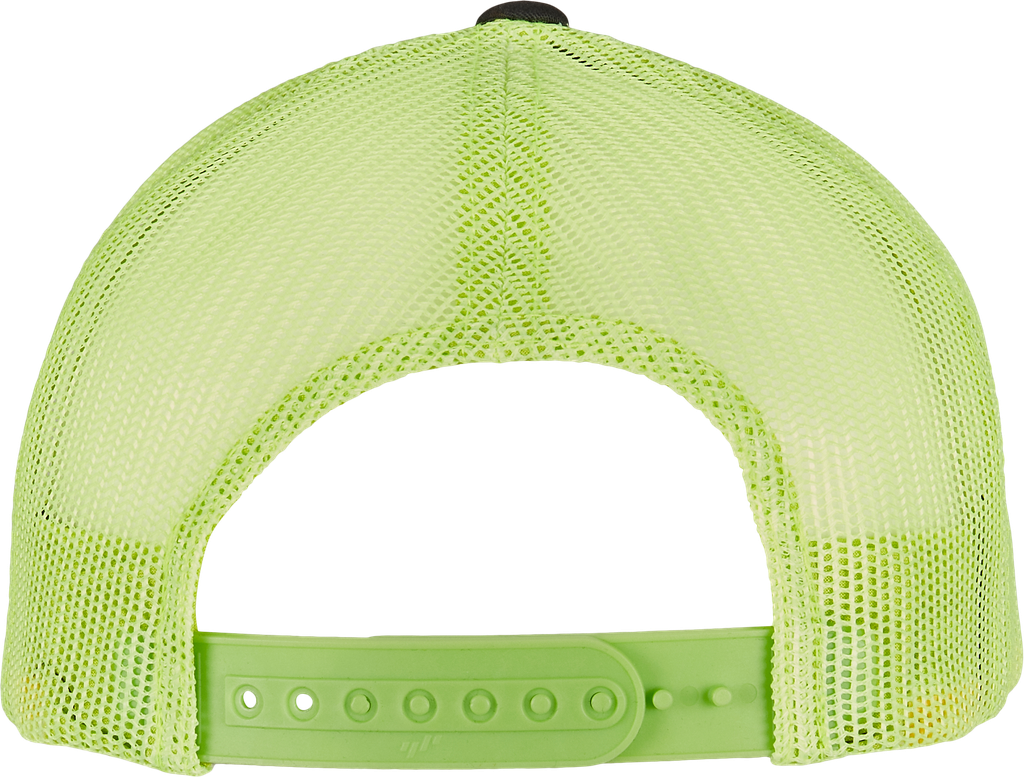 Back View