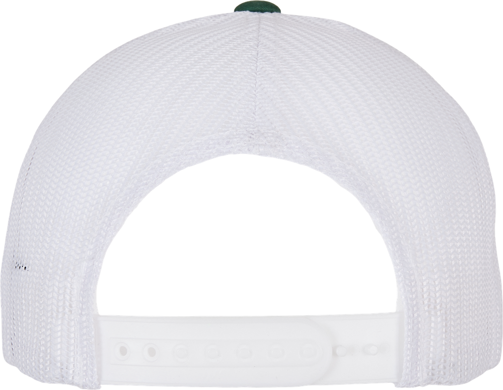 Back View