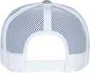 Back View