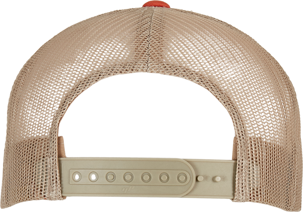 Back View