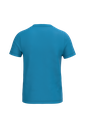 Back View