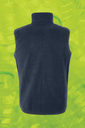 Back View
