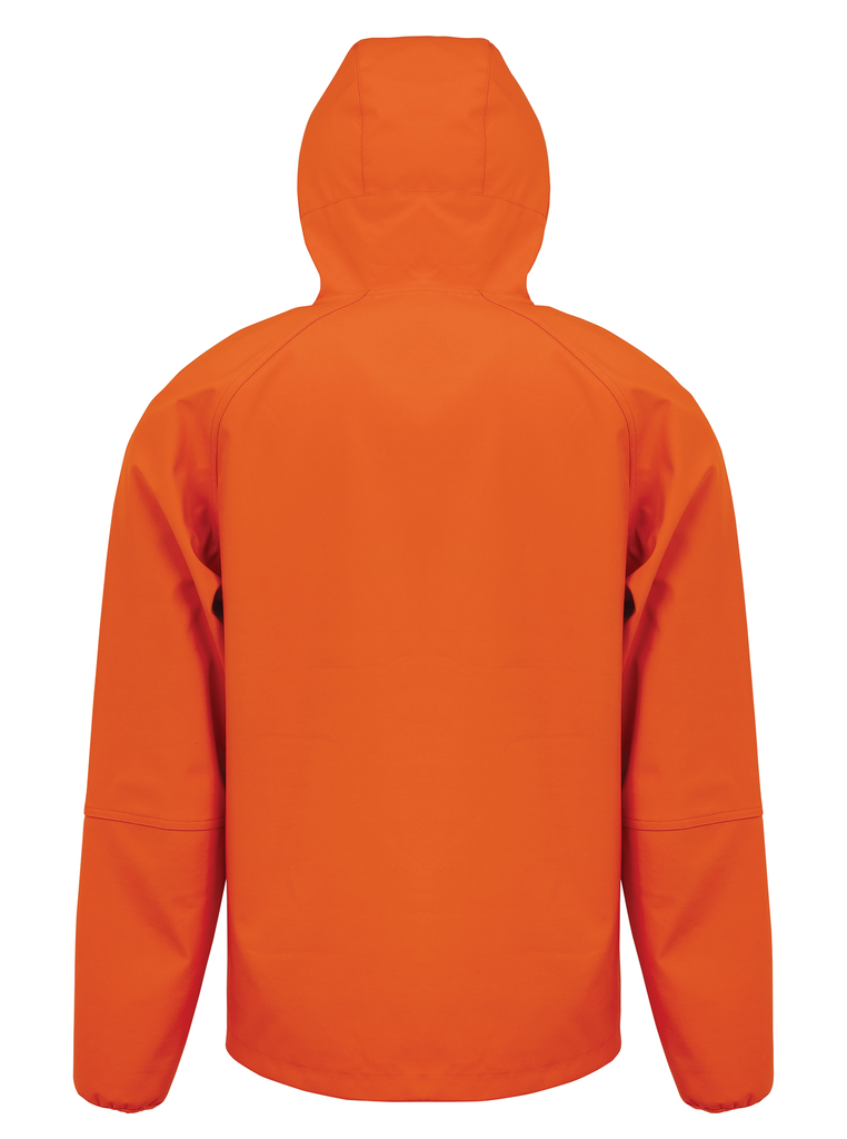 Back View