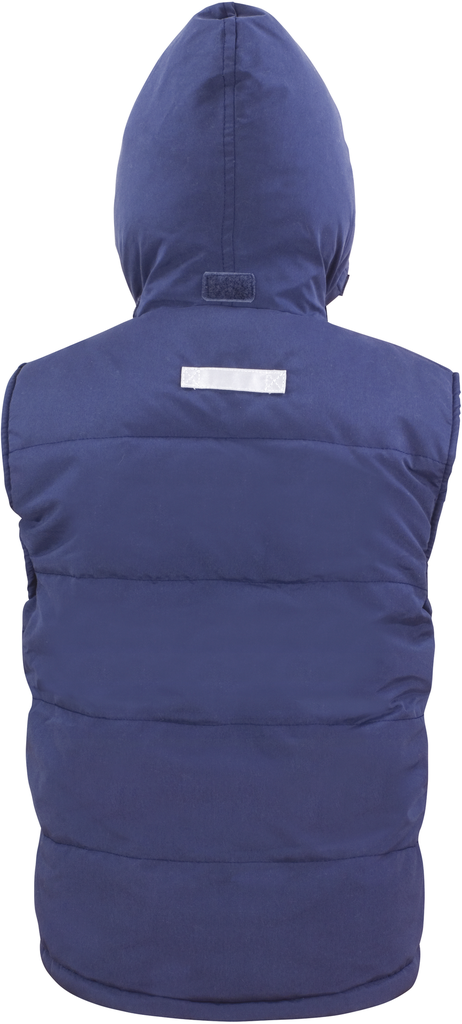 Back View