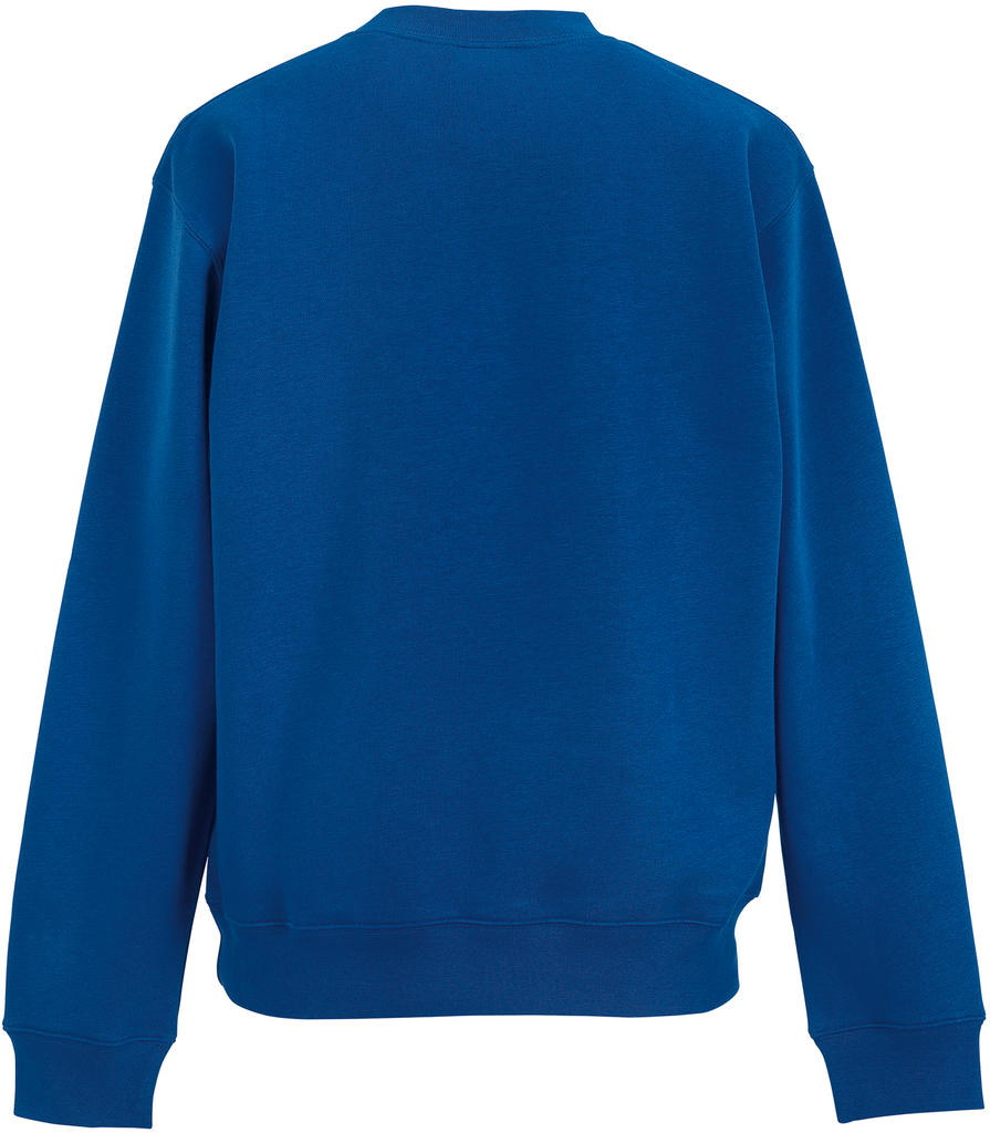 Back View