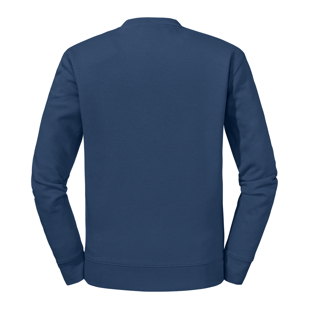 Back View