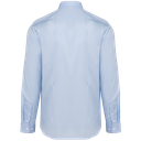 Back View