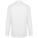 Back View