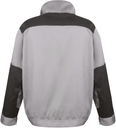 Back View