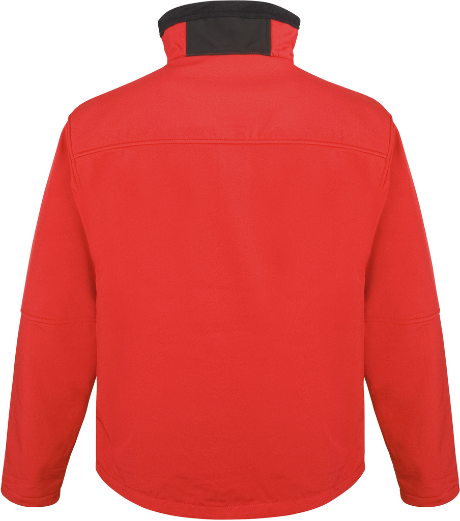 Back View