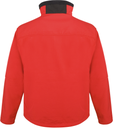 Back View