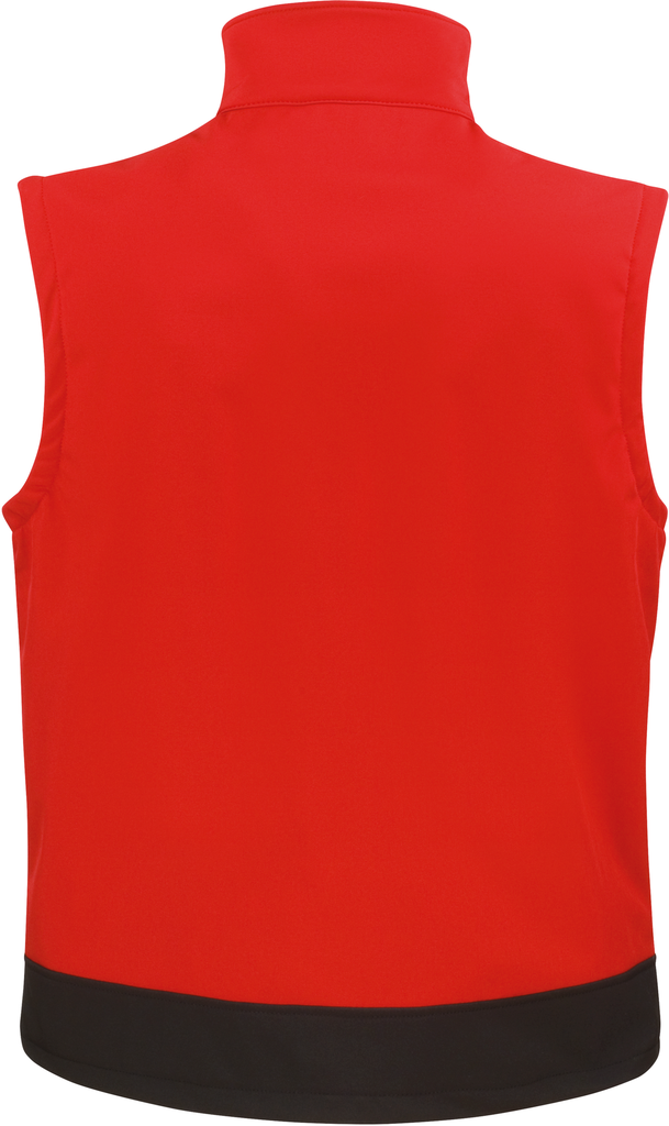 Back View