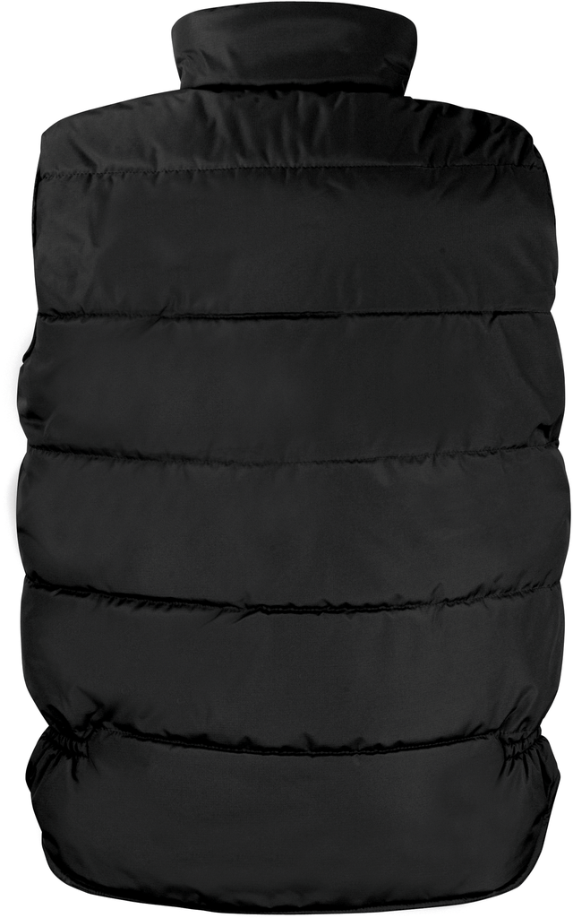 Back View
