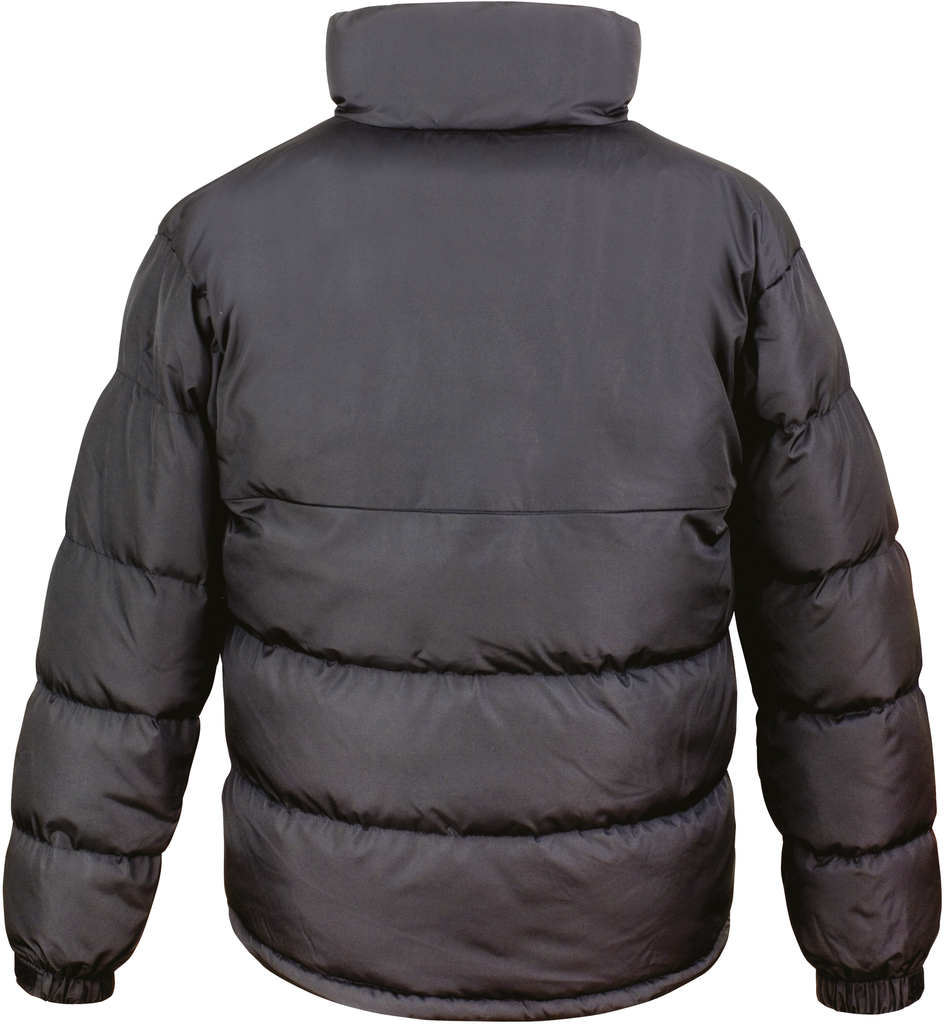 Back View