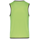 Back View