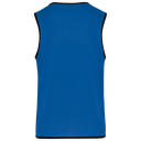 Back View