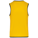 Back View
