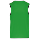 Back View