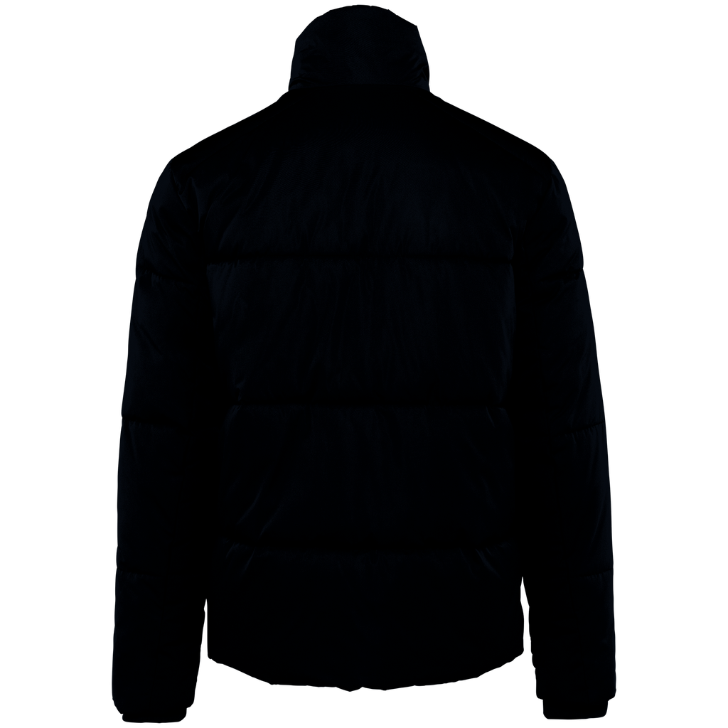 Back View