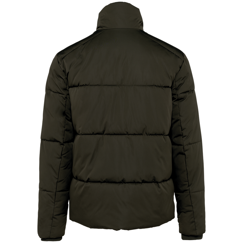 Back View