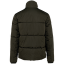 Back View
