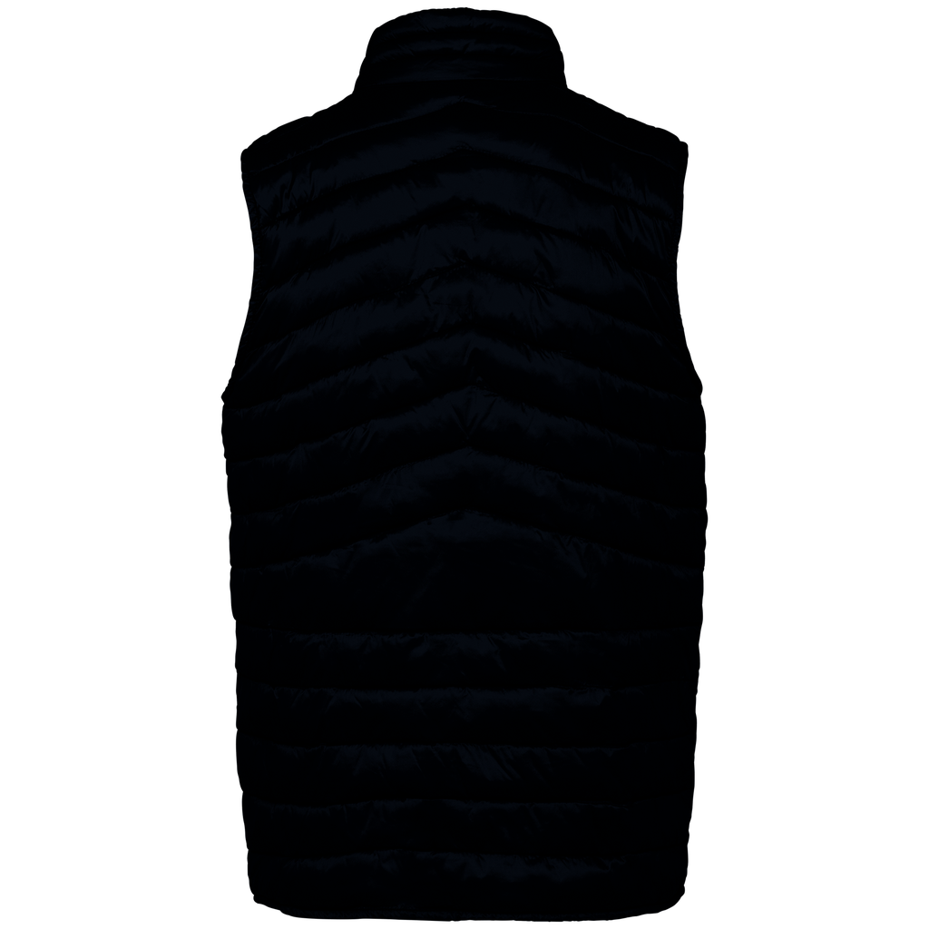 Back View