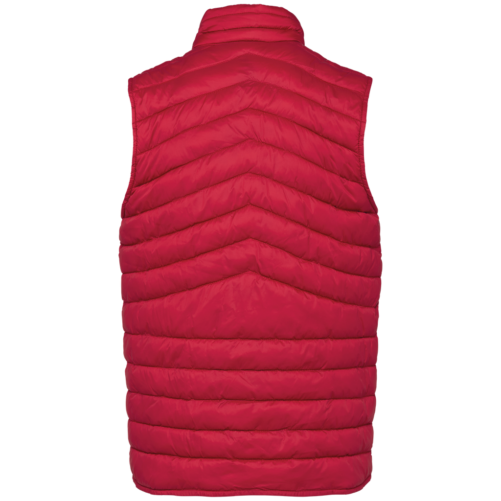 Back View