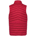 Back View