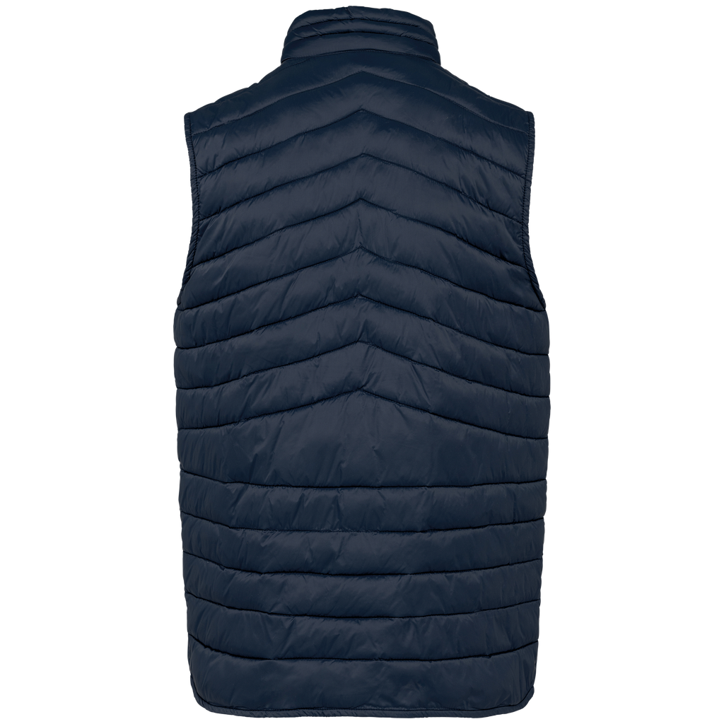 Back View