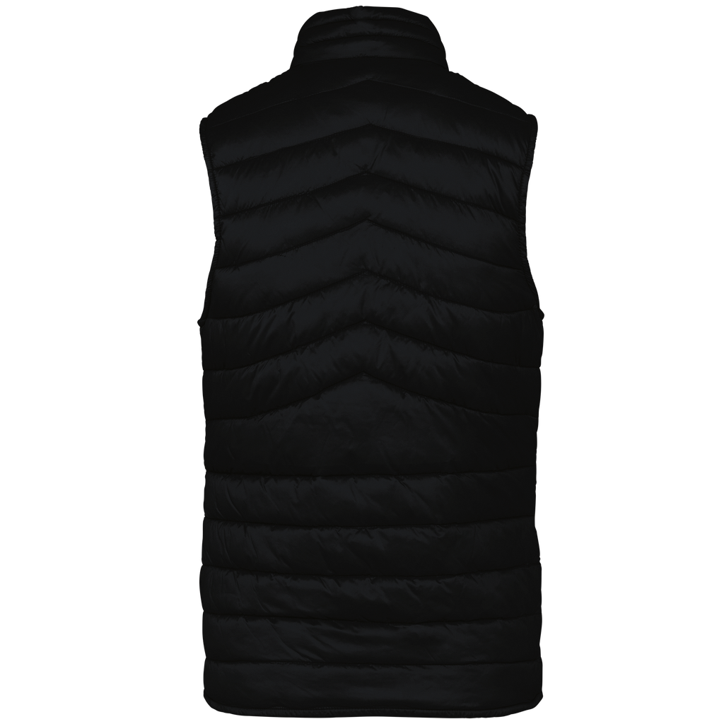 Back View