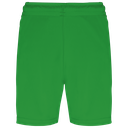 Back View