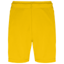 Back View
