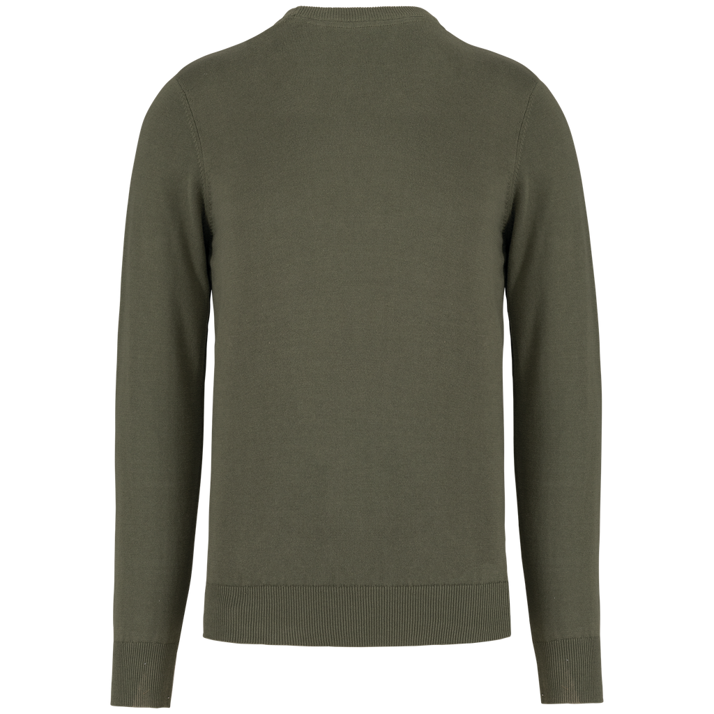 Back View