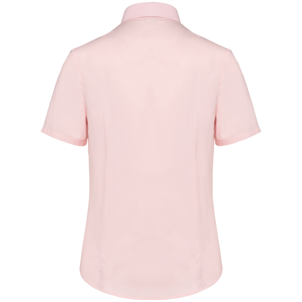 Back View
