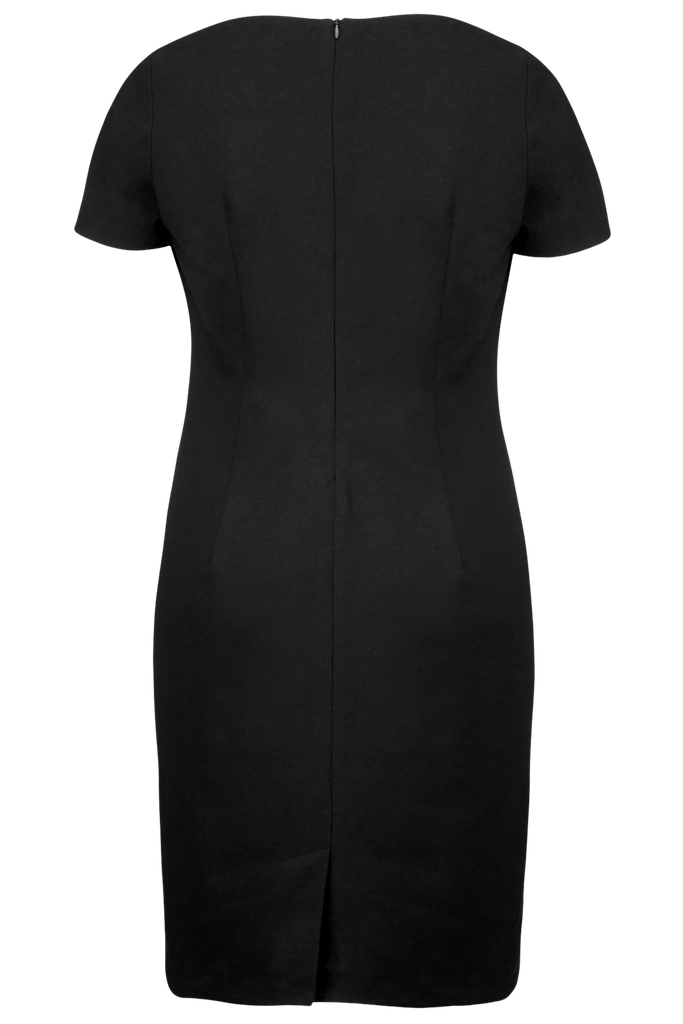 Back View