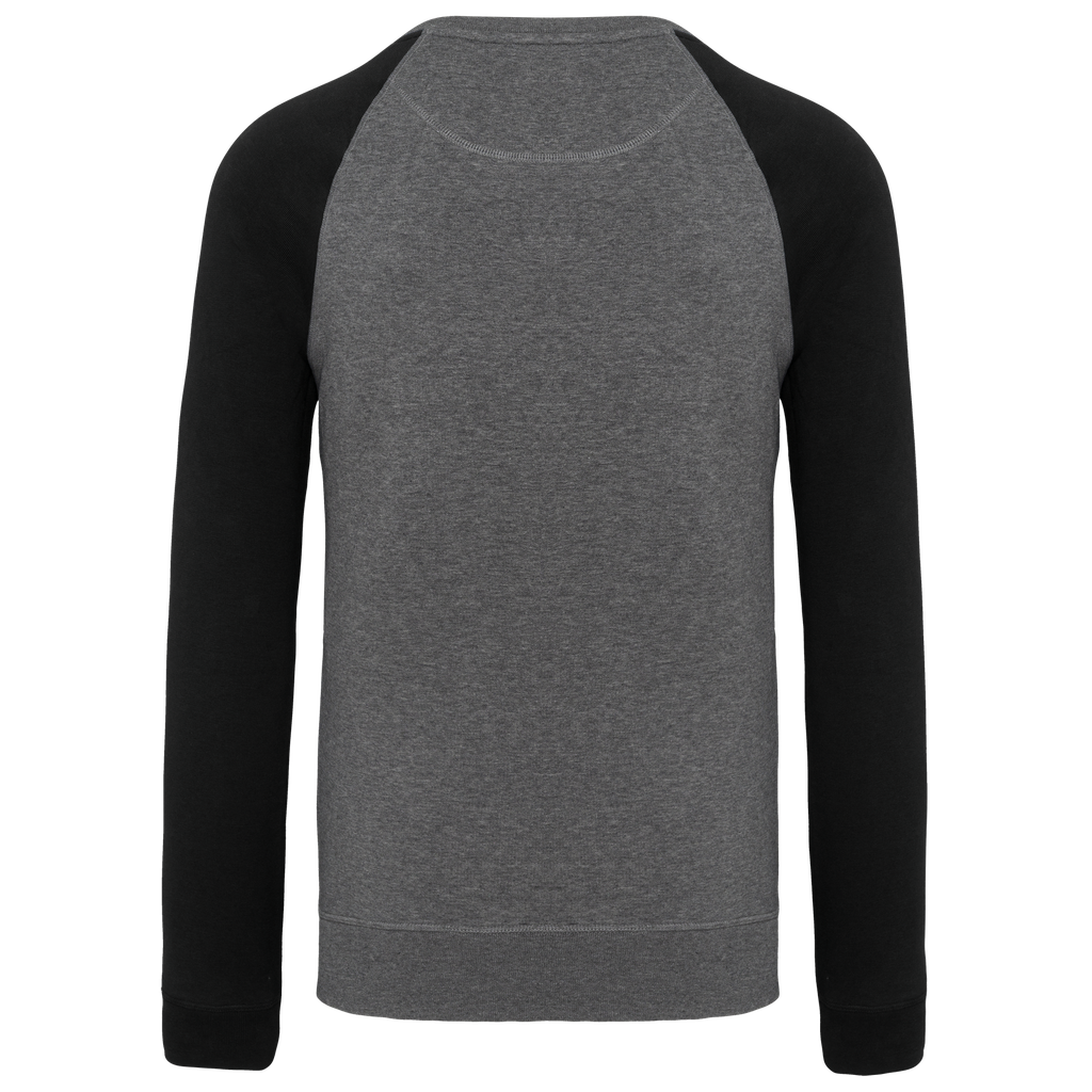Back View