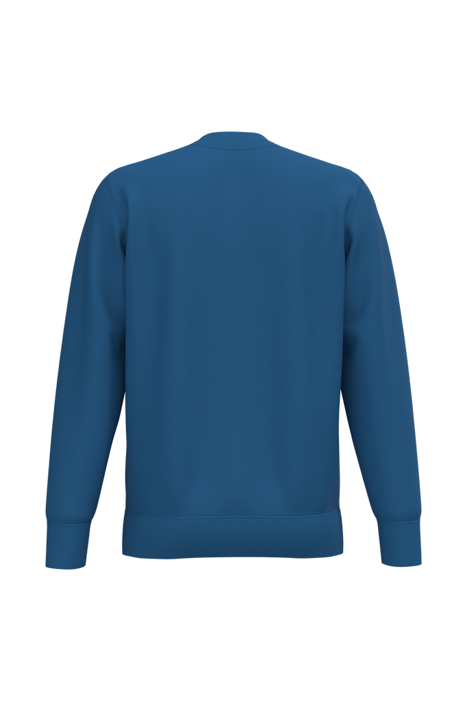 Back View