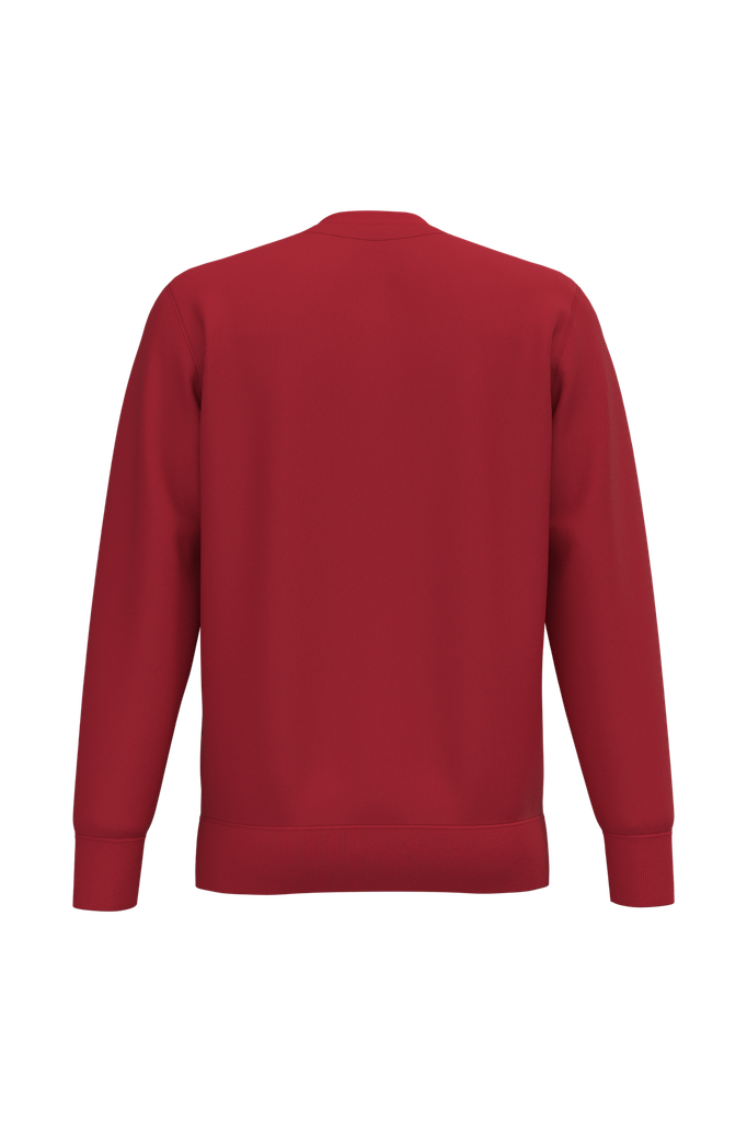 Back View