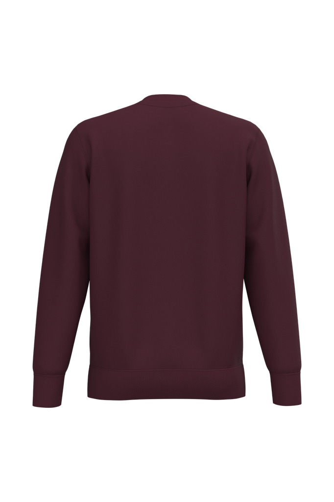 Back View
