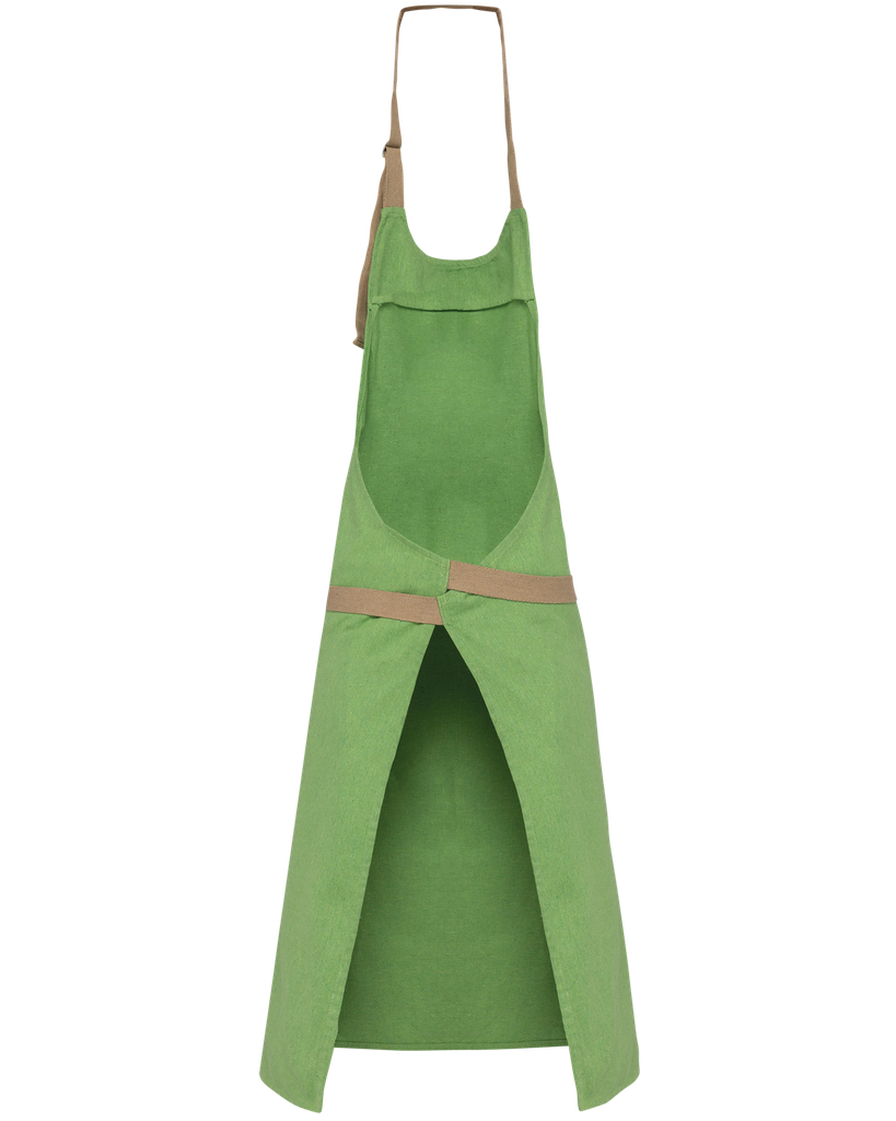 Back View