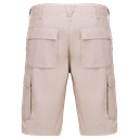 Back View
