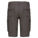 Back View