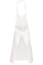 Back View