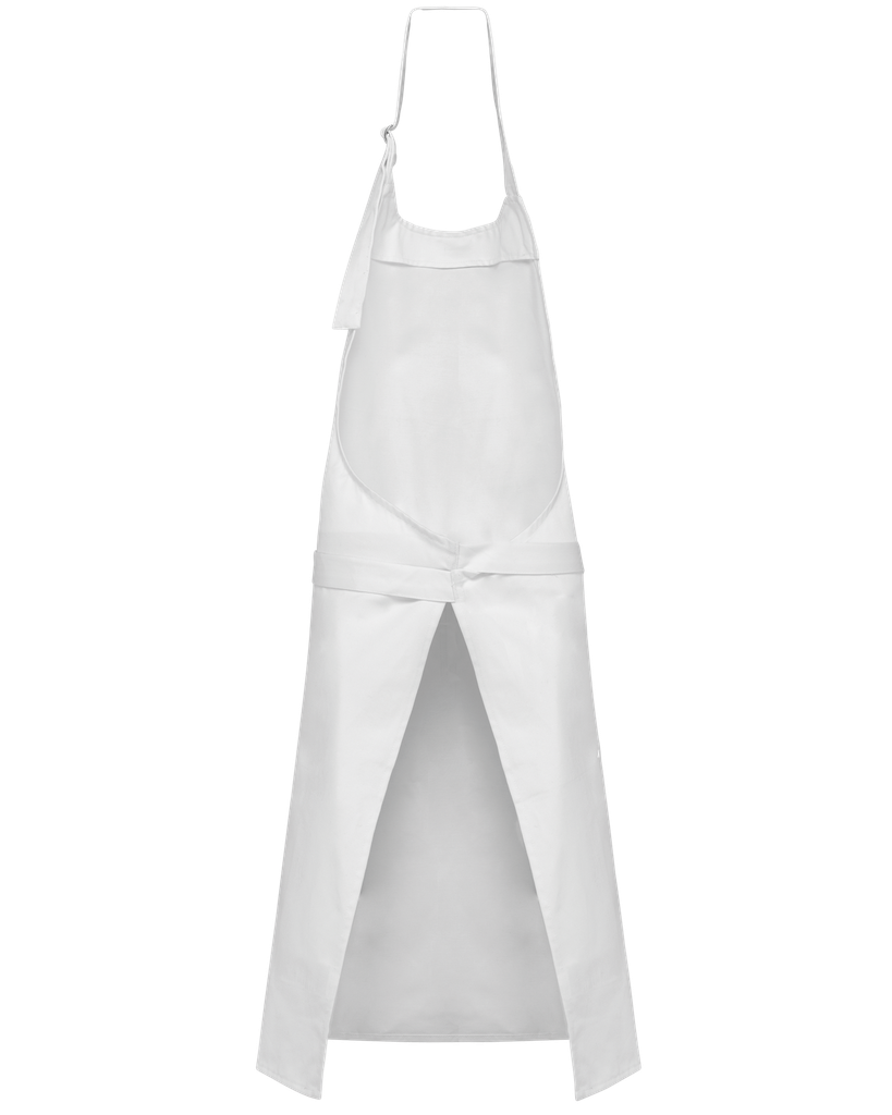 Back View