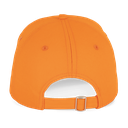 Back View