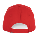 Back View