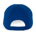 Back View