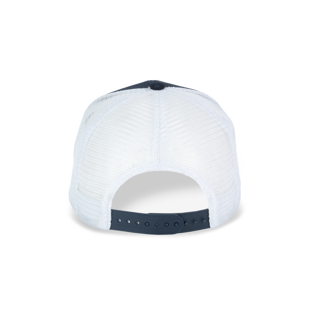 Back View
